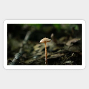 Single Mushroom Sticker